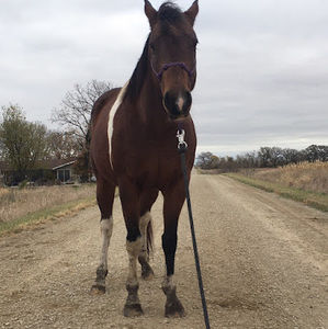 Meet your Posher, Caitlyn